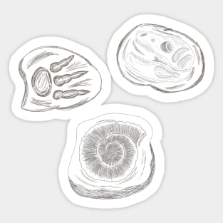 Fossils (no text) Sticker